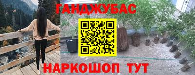 стафф Жуковский