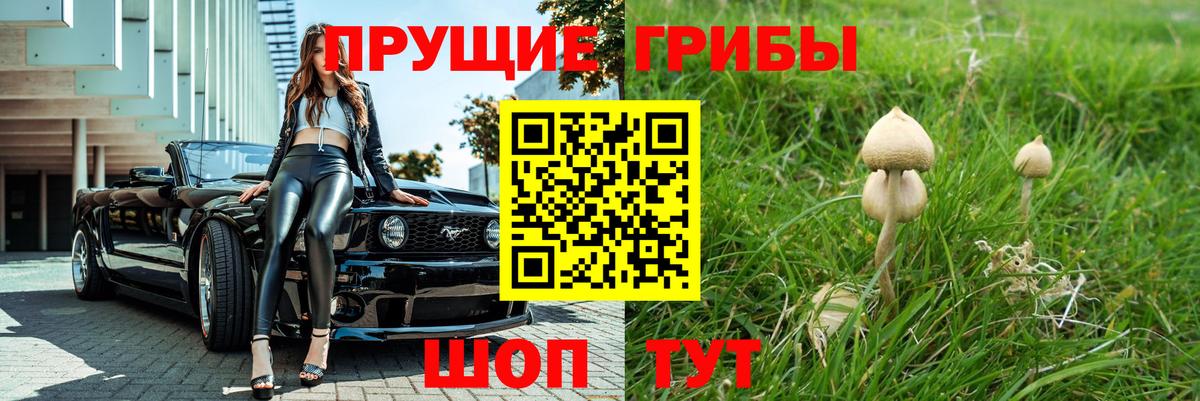 Галлюциногенные грибы мухоморы Мурманск