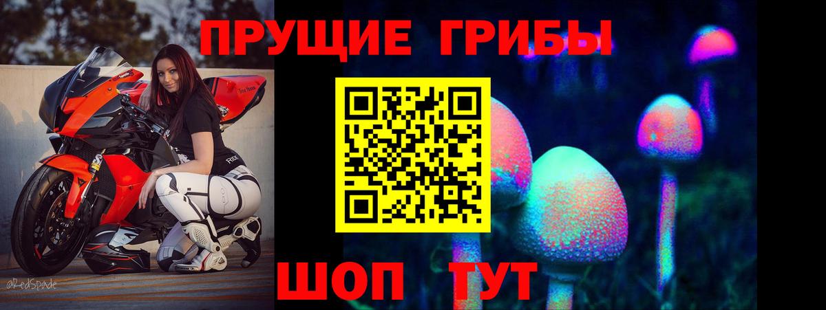 Мурманск  Псилоцибиновые грибы мицелий  Вход с VPN 